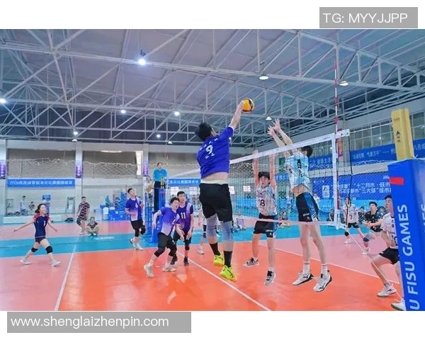 成都排球队的力量分析与发展潜力探讨